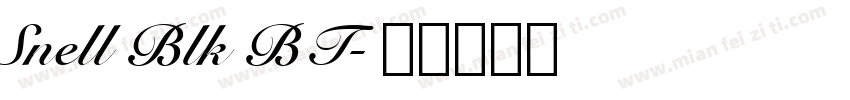 Snell Blk BT字体转换